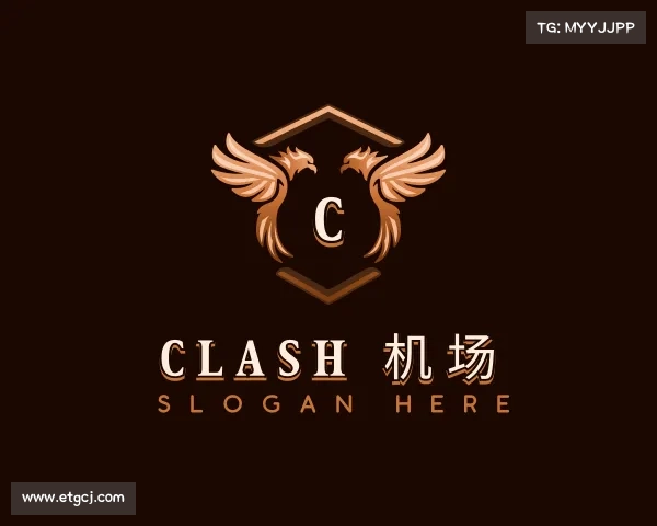 介绍clash 机场